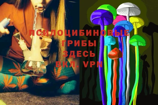 дживик Балабаново