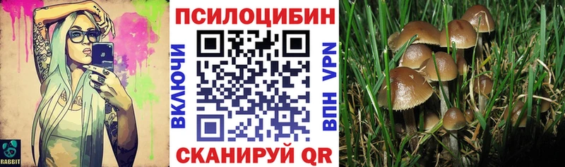 Галлюциногенные грибы мицелий даркнет наркотические препараты Макаров где продают